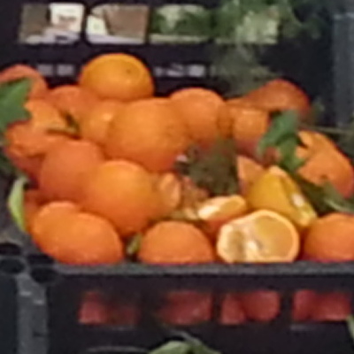 Thumb_20130202_142144